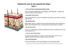 Kartei-Redenskarten-Haut-1-2.pdf